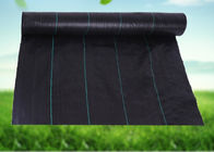 UV Resistance Garden Weed Control Fabric Black - Green Weed Control Barrier